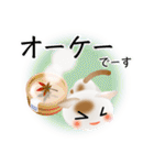 色々な猫1-1 短毛-立ち耳-白に茶ぶち（個別スタンプ：28）