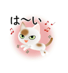 色々な猫1-1 短毛-立ち耳-白に茶ぶち（個別スタンプ：29）
