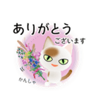 色々な猫1-1 短毛-立ち耳-白に茶ぶち（個別スタンプ：31）