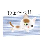 色々な猫1-1 短毛-立ち耳-白に茶ぶち（個別スタンプ：34）