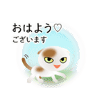 色々な猫1-2 短毛-垂れ耳-白に茶ぶち（個別スタンプ：1）