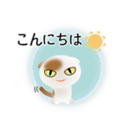 色々な猫1-2 短毛-垂れ耳-白に茶ぶち（個別スタンプ：5）