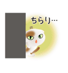 色々な猫1-2 短毛-垂れ耳-白に茶ぶち（個別スタンプ：6）