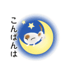 色々な猫1-2 短毛-垂れ耳-白に茶ぶち（個別スタンプ：7）