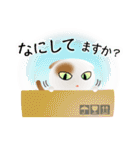 色々な猫1-2 短毛-垂れ耳-白に茶ぶち（個別スタンプ：8）