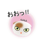 色々な猫1-2 短毛-垂れ耳-白に茶ぶち（個別スタンプ：10）