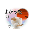 色々な猫1-2 短毛-垂れ耳-白に茶ぶち（個別スタンプ：11）