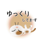 色々な猫1-2 短毛-垂れ耳-白に茶ぶち（個別スタンプ：18）