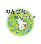 色々な猫1-2 短毛-垂れ耳-白に茶ぶち（個別スタンプ：19）