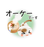 色々な猫1-2 短毛-垂れ耳-白に茶ぶち（個別スタンプ：28）