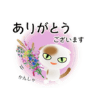 色々な猫1-2 短毛-垂れ耳-白に茶ぶち（個別スタンプ：31）