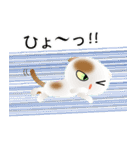 色々な猫1-2 短毛-垂れ耳-白に茶ぶち（個別スタンプ：34）