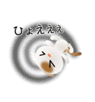 色々な猫1-2 短毛-垂れ耳-白に茶ぶち（個別スタンプ：35）