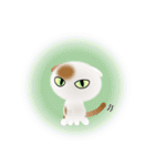 色々な猫1-2 短毛-垂れ耳-白に茶ぶち（個別スタンプ：37）