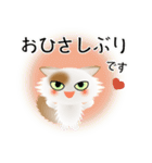 色々な猫1-3 長毛-立ち耳-白に茶ぶち（個別スタンプ：3）