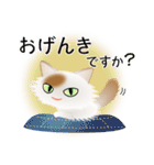 色々な猫1-3 長毛-立ち耳-白に茶ぶち（個別スタンプ：4）