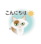 色々な猫1-3 長毛-立ち耳-白に茶ぶち（個別スタンプ：5）