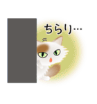色々な猫1-3 長毛-立ち耳-白に茶ぶち（個別スタンプ：6）