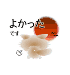 色々な猫1-3 長毛-立ち耳-白に茶ぶち（個別スタンプ：11）