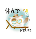 色々な猫1-3 長毛-立ち耳-白に茶ぶち（個別スタンプ：13）
