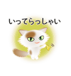 色々な猫1-3 長毛-立ち耳-白に茶ぶち（個別スタンプ：15）