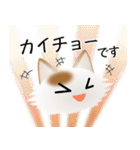 色々な猫1-3 長毛-立ち耳-白に茶ぶち（個別スタンプ：17）