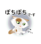 色々な猫1-3 長毛-立ち耳-白に茶ぶち（個別スタンプ：20）