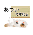 色々な猫1-3 長毛-立ち耳-白に茶ぶち（個別スタンプ：21）