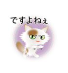 色々な猫1-3 長毛-立ち耳-白に茶ぶち（個別スタンプ：23）