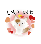 色々な猫1-3 長毛-立ち耳-白に茶ぶち（個別スタンプ：24）