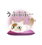 色々な猫1-3 長毛-立ち耳-白に茶ぶち（個別スタンプ：25）