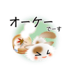 色々な猫1-3 長毛-立ち耳-白に茶ぶち（個別スタンプ：28）