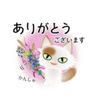 色々な猫1-3 長毛-立ち耳-白に茶ぶち（個別スタンプ：31）