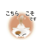 色々な猫1-3 長毛-立ち耳-白に茶ぶち（個別スタンプ：32）