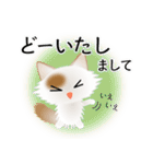 色々な猫1-3 長毛-立ち耳-白に茶ぶち（個別スタンプ：33）