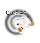 色々な猫1-3 長毛-立ち耳-白に茶ぶち（個別スタンプ：35）