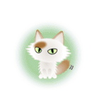 色々な猫1-3 長毛-立ち耳-白に茶ぶち（個別スタンプ：37）