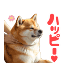 ぽっちゃりした柴犬の使いやすいスタンプ（個別スタンプ：12）