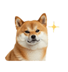 ぽっちゃりした柴犬の使いやすいスタンプ（個別スタンプ：18）