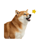ぽっちゃりした柴犬の使いやすいスタンプ（個別スタンプ：19）
