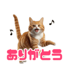 ぽっちゃりした猫の面白スタンプ（個別スタンプ：3）