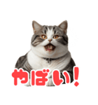 ぽっちゃりした猫の面白スタンプ（個別スタンプ：5）