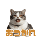 ぽっちゃりした猫の面白スタンプ（個別スタンプ：20）