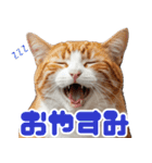 ぽっちゃりした猫の面白スタンプ（個別スタンプ：21）