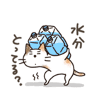 娘に送る母のスタンプ4（個別スタンプ：5）
