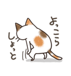 娘に送る母のスタンプ4（個別スタンプ：39）