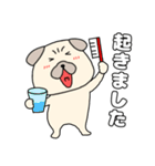 【毎日使える】パグ犬のぱーちゃん96（個別スタンプ：3）