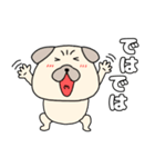 【毎日使える】パグ犬のぱーちゃん96（個別スタンプ：5）