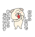 【毎日使える】パグ犬のぱーちゃん96（個別スタンプ：16）