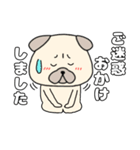 【毎日使える】パグ犬のぱーちゃん96（個別スタンプ：23）